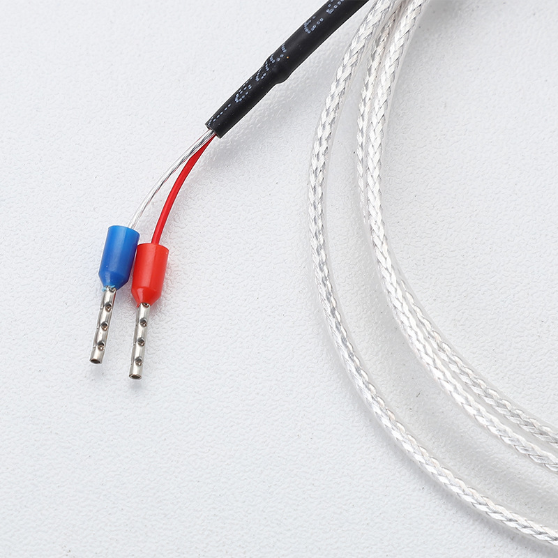 Platinum Resistance Temperature Sensor