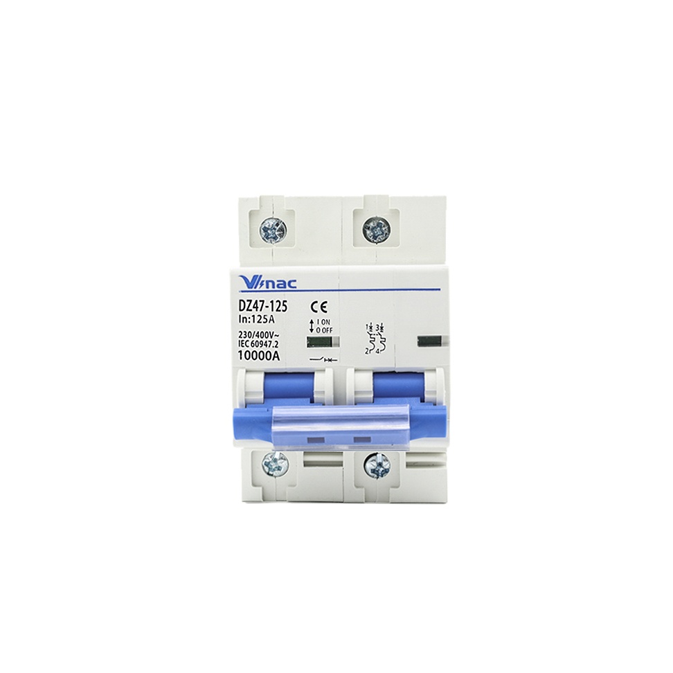 DZ47-125 MCB-125 2P 125A
