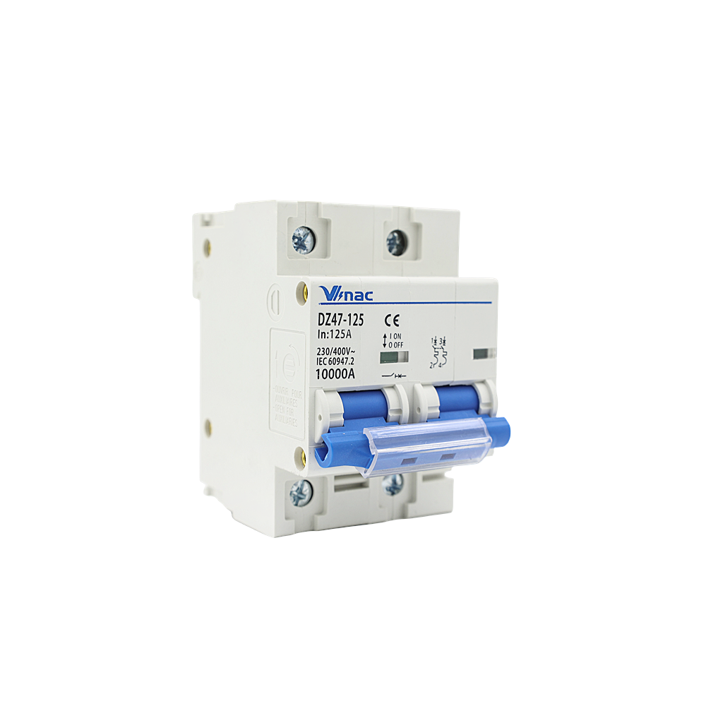 DZ47-125 MCB-125 2P 125A