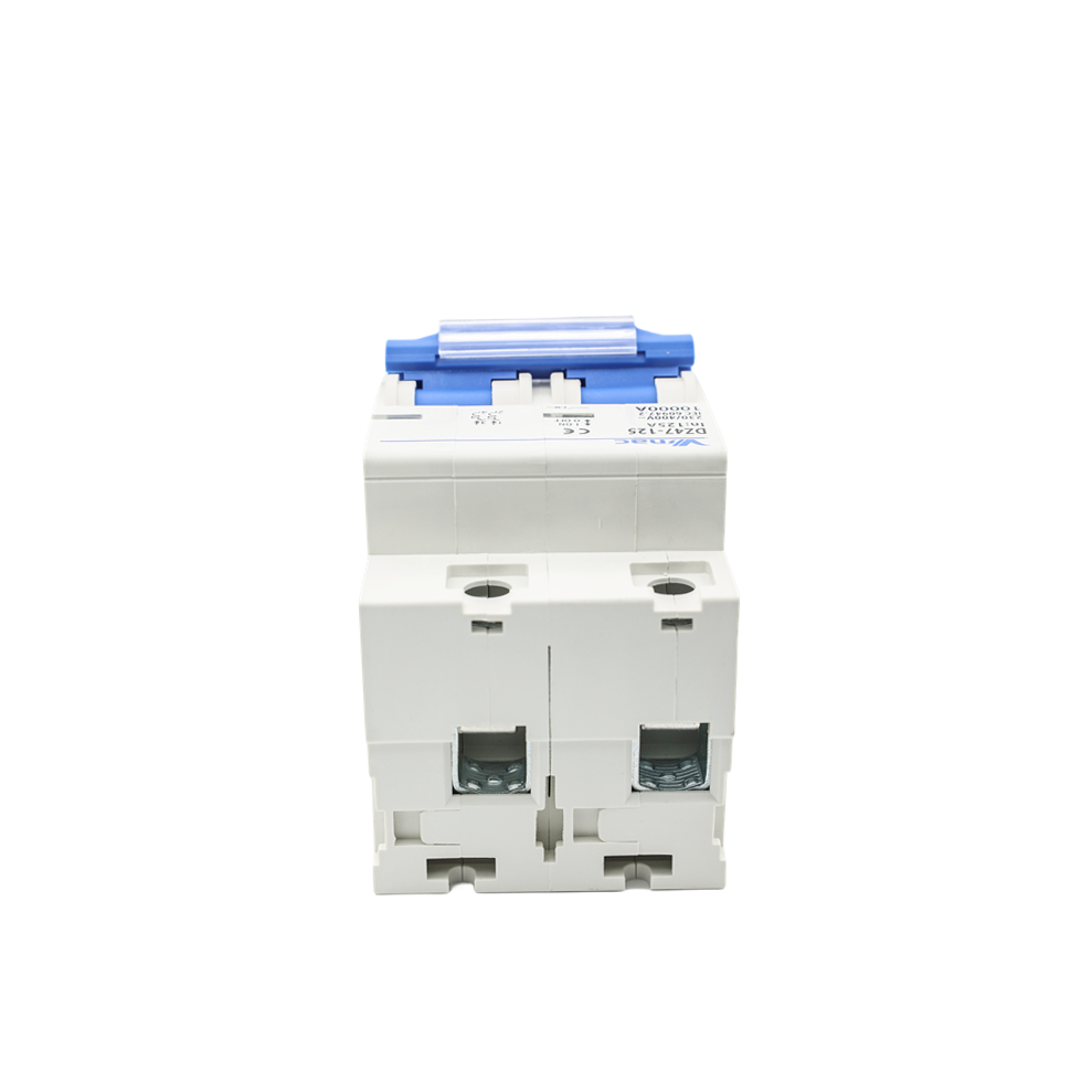 DZ47-125 MCB-125 2P 125A